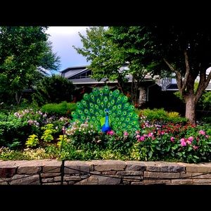 Meet your Posher, Sonya